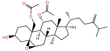 11a-Acetoxyarmatinol A